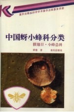 中国蚜小蜂科分类 膜翅目 小蜂总科