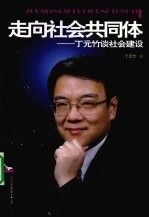 走向社会共同体 丁元竹谈社会建设