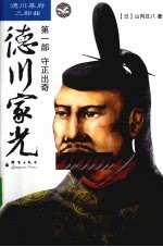 德川家光 第1部 守正出奇