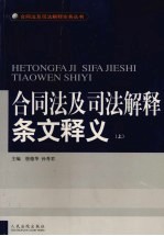 合同法及司法解释条文释义 上