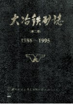 大冶铁矿志  第2卷  1986-1995