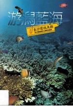 游泻蓝海 东沙环礁鱼类