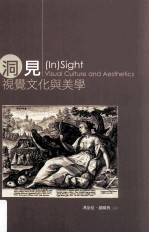 “洞”见:视觉文化与美学