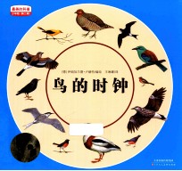 鸟的时钟 少年版