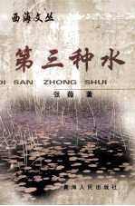 第三种水