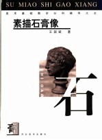 美术基础教学分科辅导大全 素描石膏像