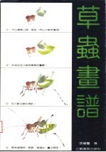 草虫画谱