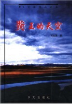 粪王的天空