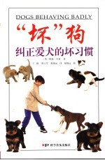 “坏”狗 纠正爱犬的坏习惯