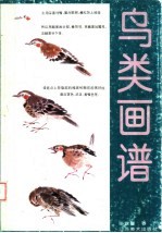 鸟类画谱