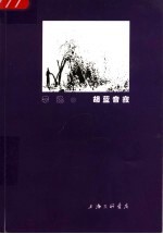 胡蓝音寂