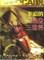 多彩的昆虫世界 中国600种昆虫生态图鉴