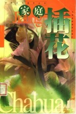 家庭插花