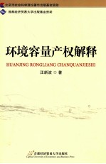 环境容量产权解释
