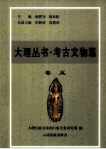 大理丛书 考古文物篇 卷5