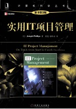 实用IT项目管理 原书第3版