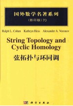 弦拓扑与环同调