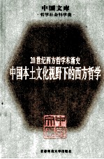 20世纪西方哲学东渐史 中国本土文化视野下的西方哲学