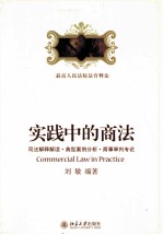 实践中的商法 司法解释解读、典型案例分析、商事审判专论