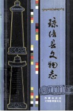 琼结县文物志