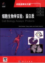 细胞生物学实验 蛋白质 导读版