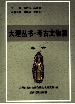大理丛书 考古文物篇 卷6