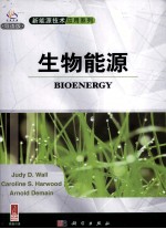 生物能源 英文