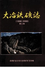 大冶铁矿志 1996-2000 第3卷