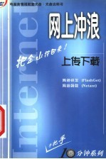 网上冲浪:上传下载