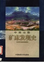 中南冶勘矿床发现史