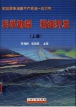科学勘探 精细开发 (上册)