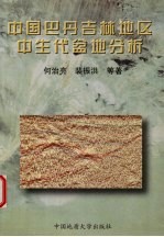 中国巴丹吉林地区中生代盆地分析