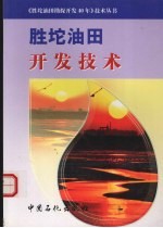胜坨油田开发技术