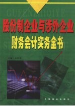 股份制企业与涉外企业财务会计实务全书 4