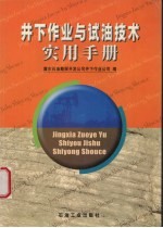 井下作业与试油技术实用手册