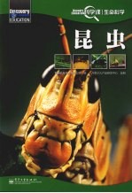 昆虫