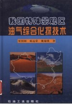 我国特殊景观区油气综合化探技术