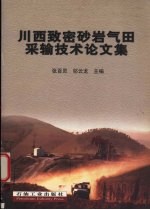 川西致密砂岩气田采输技术论文集
