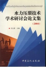 水力压裂技术学术研讨会论文集 2004