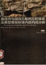 曲流河与湖泊三角洲沉积体系及典型骨架砂体内部构成分析 鄂尔多斯盆地东缘精细露头储层研究考察指南