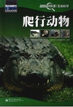 爬行动物