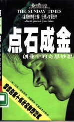 点石成金:创业中的奇思妙想