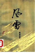风雷 第一部(上下册)