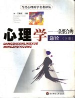 心理学:一条整合的途径 (下册)