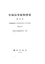 中国高等植物(四)