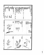 古今图书集成 博物汇编草木典 第二百五十至二百六十二卷