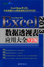 Excel 2013数据透视表应用大全 全彩版