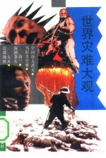 世界灾难大观