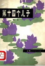 第十四个儿子 短篇小说集