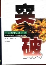 突破 中国特区启示录